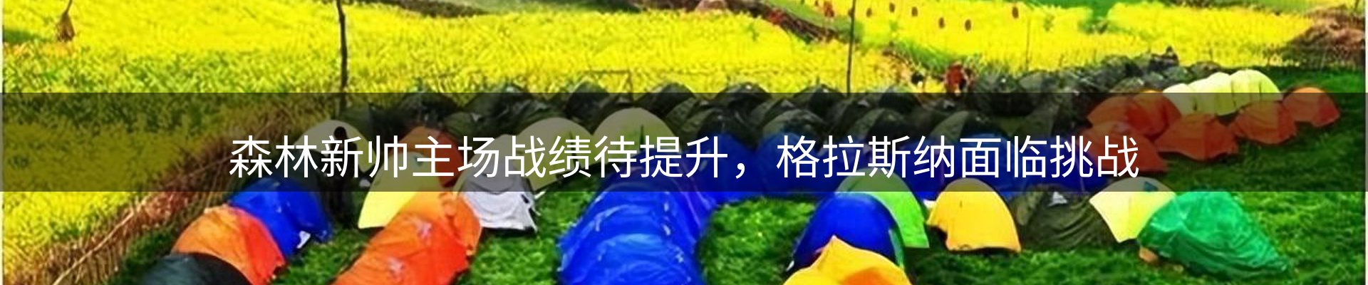 企业动态